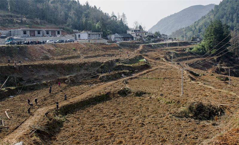 ŷ��(�й�)�ɷ����޹�˾����